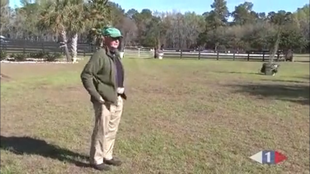 Stadium Jumping | Jimmy Wofford | PART 03