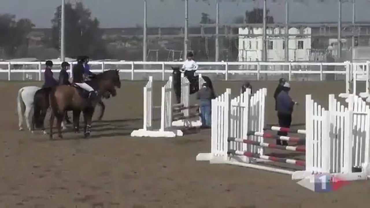 Riding Forward Between The Jumps | Sir Mark Todd | PART 03