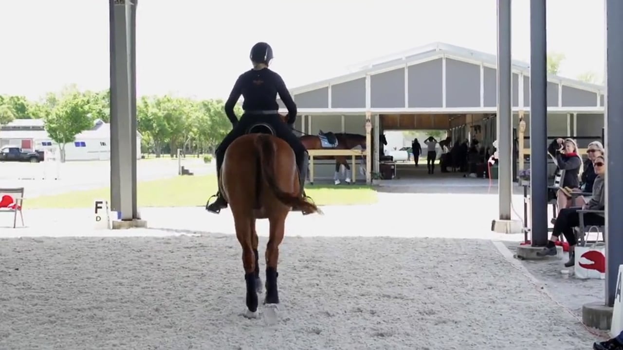 Shoulder-In at Trot | Janet Foy