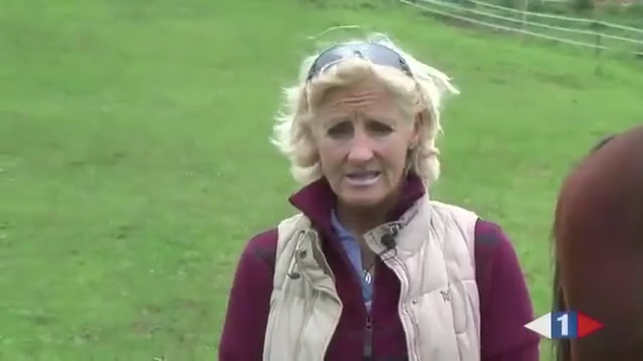 Studs Discussion | Lucinda Green | PART 01