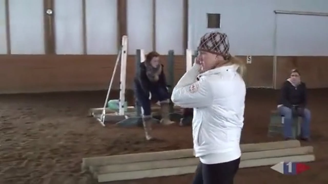 Thoughtful Riding, Flatwork & Grids | Allison Springer | PART 01