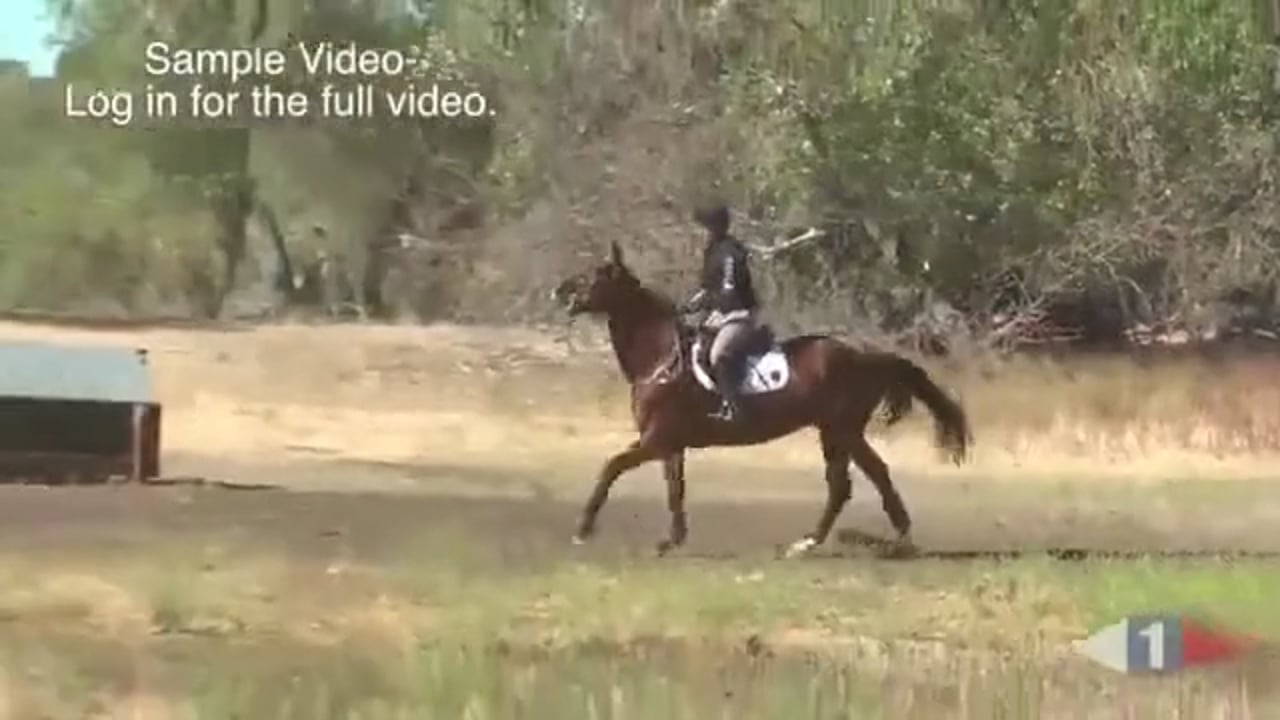 Trailer - Cross Country