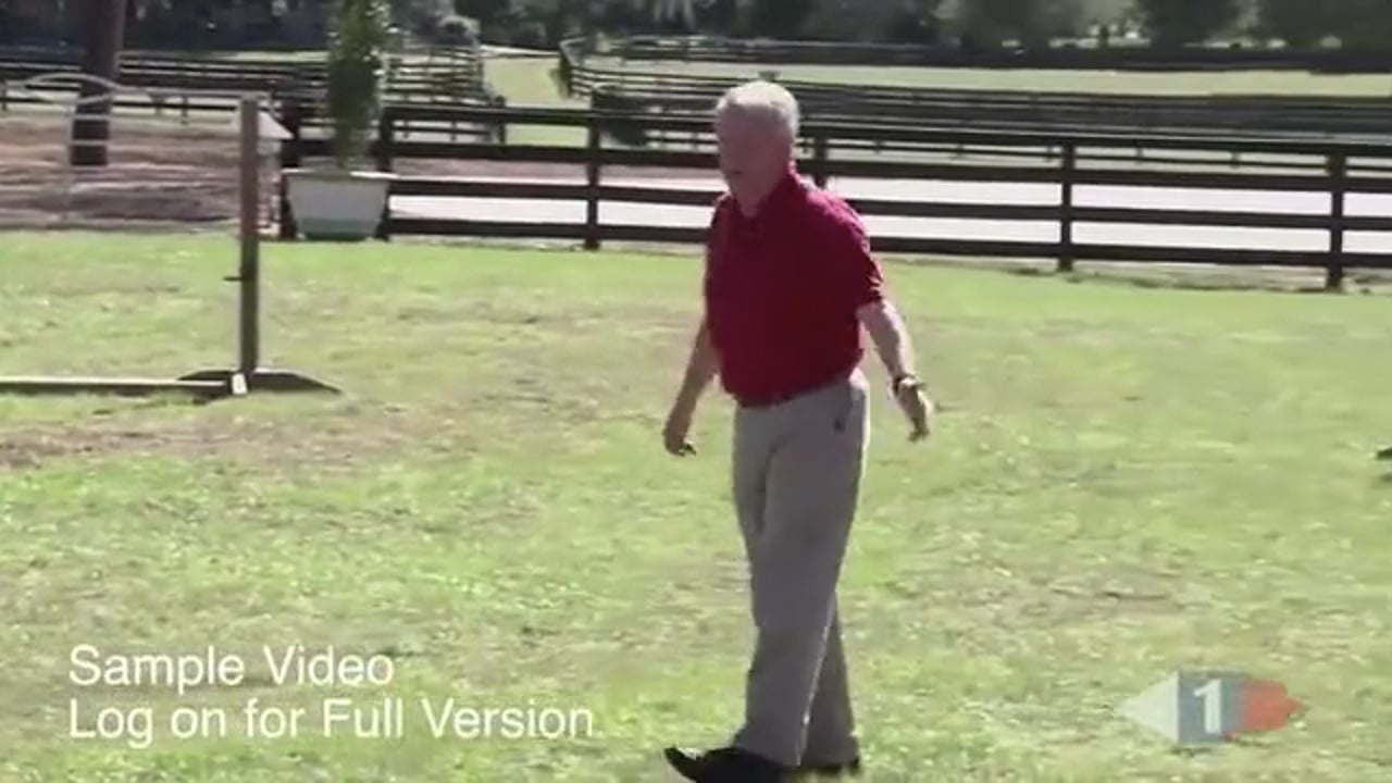 ICP Clinic, Stride Control | Yogi Breisner | TRAILER