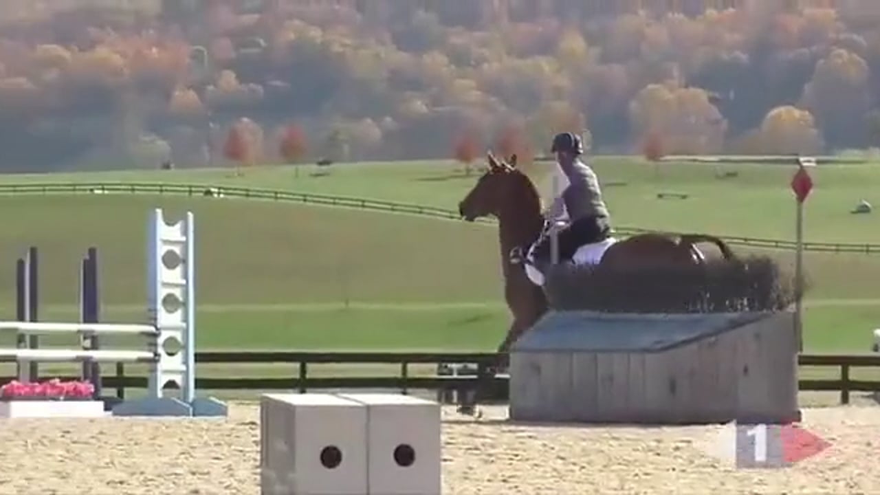 Trotting & Walking Fences, Two Star Horses & Riders | William Fox-Pitt | PART 01