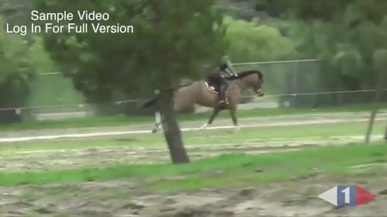 Which Canter Do I Need? | Boyd Martin | TRAILER 01