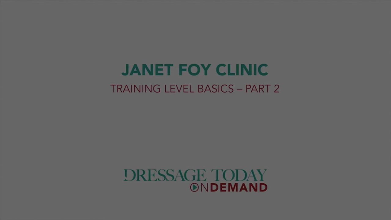 Training Level Basics | Janet Foy | PART 02
