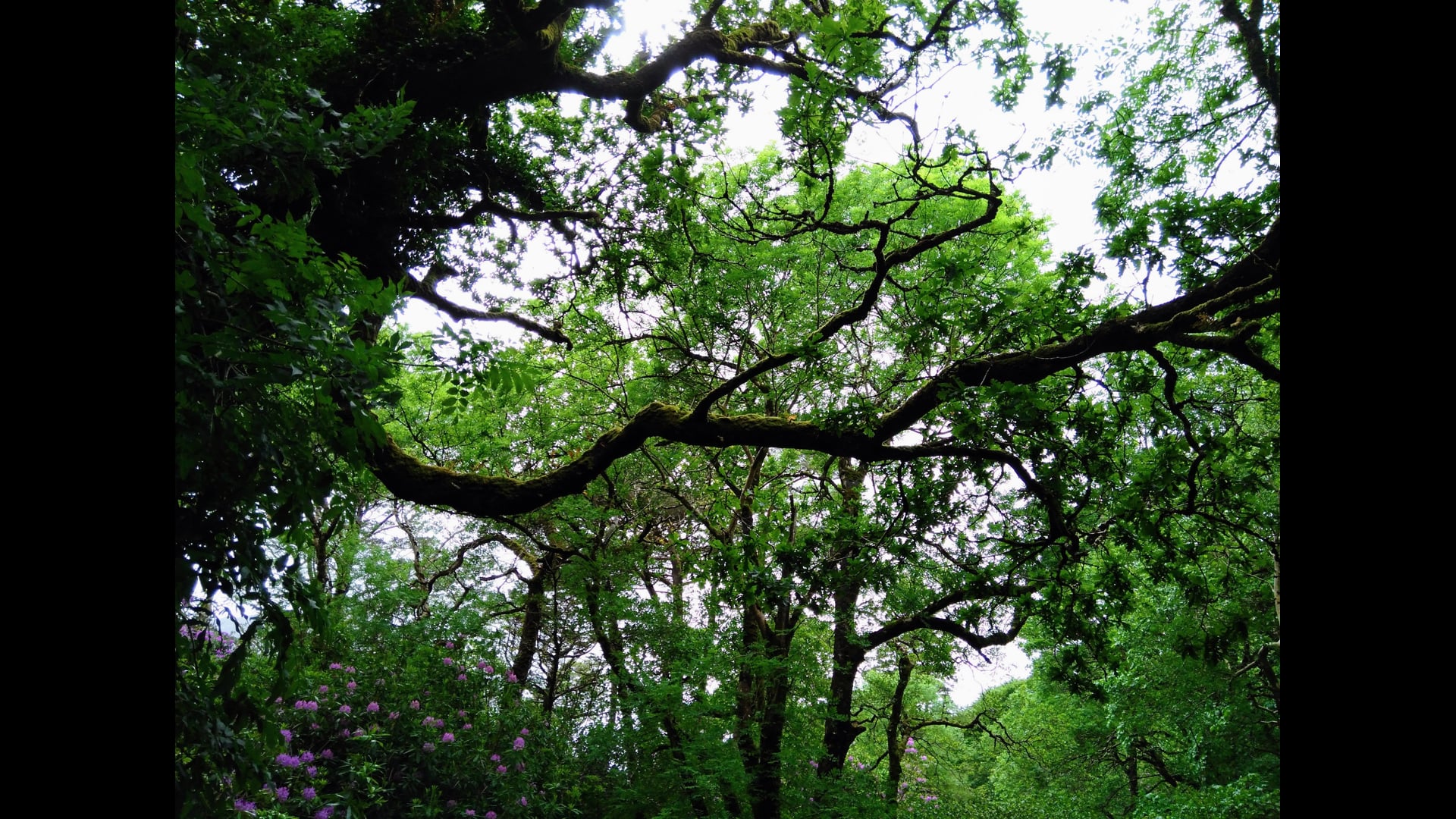 2025 November 10: Bringing Goodwill Into Daily Life