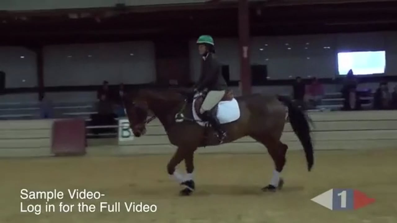 Flatwork For Jumping | Mary King | TRAILER