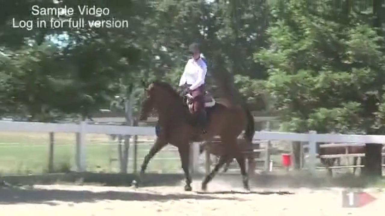 Transitions For Jumping | Matt Brown | TRAILER 01