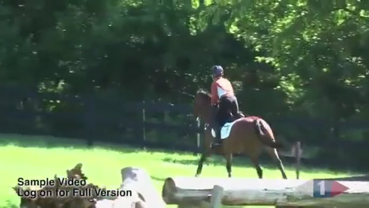 True Half Halts | Steffen Peters | PART 02