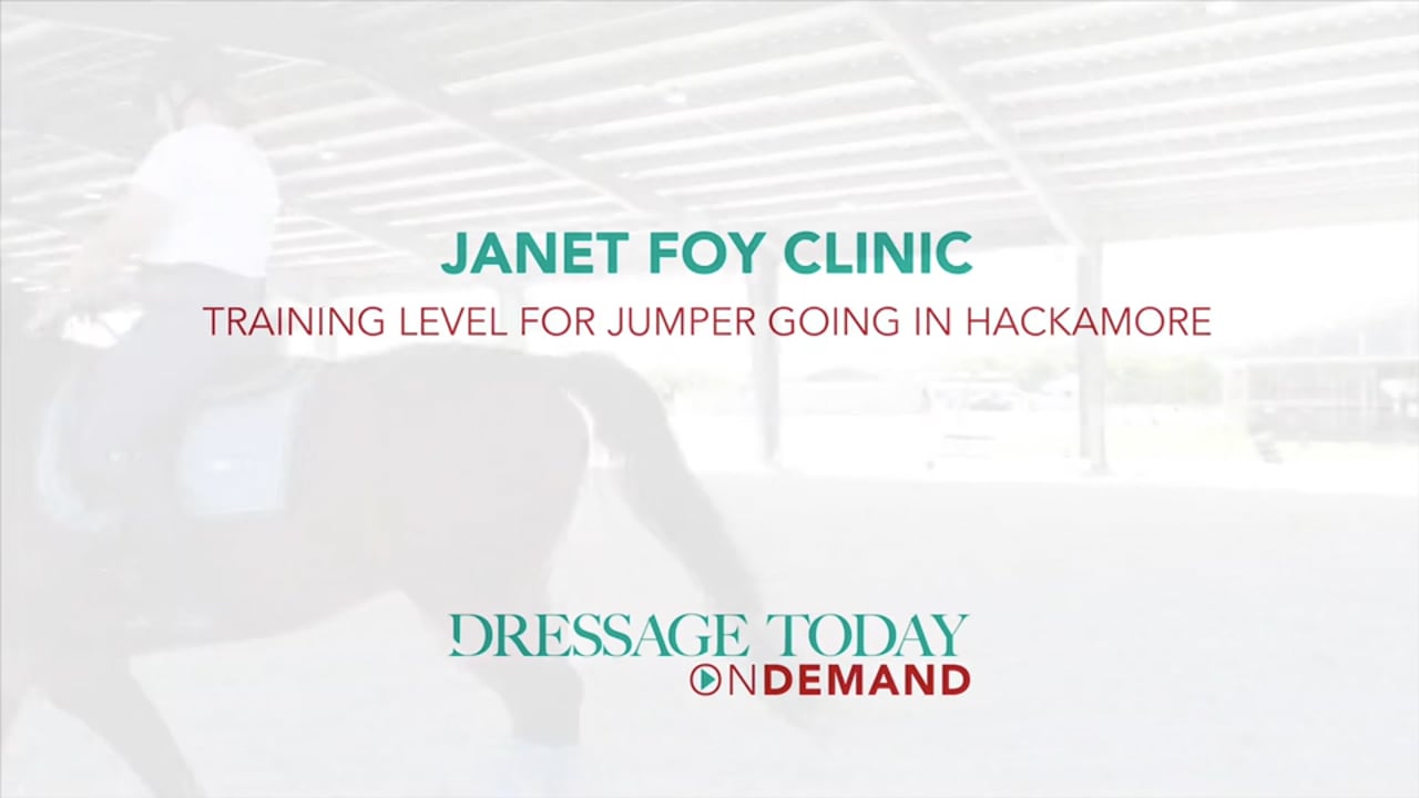 Training Level for Jumper Going in Hackamore | Janet Foy