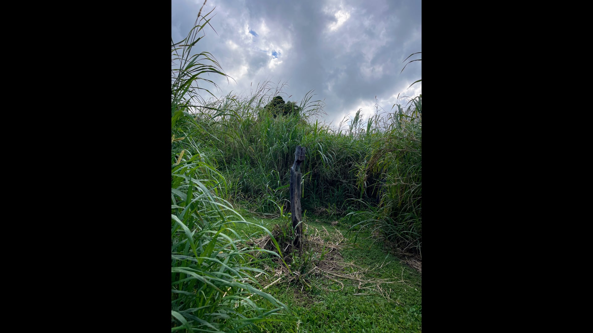 2025 November 24: Ordinary Joy