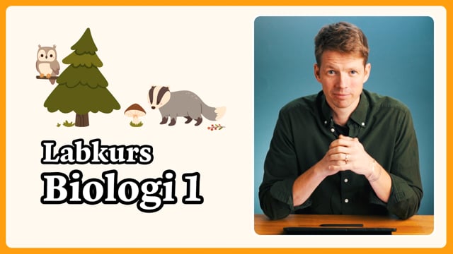 Presentasjon av KublaKans digitale labkurs i biologi 1