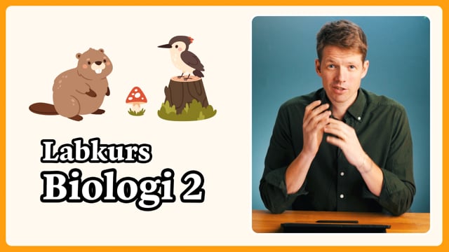 Presentasjon av KublaKans digitale labkurs og feltkurs i biologi 2