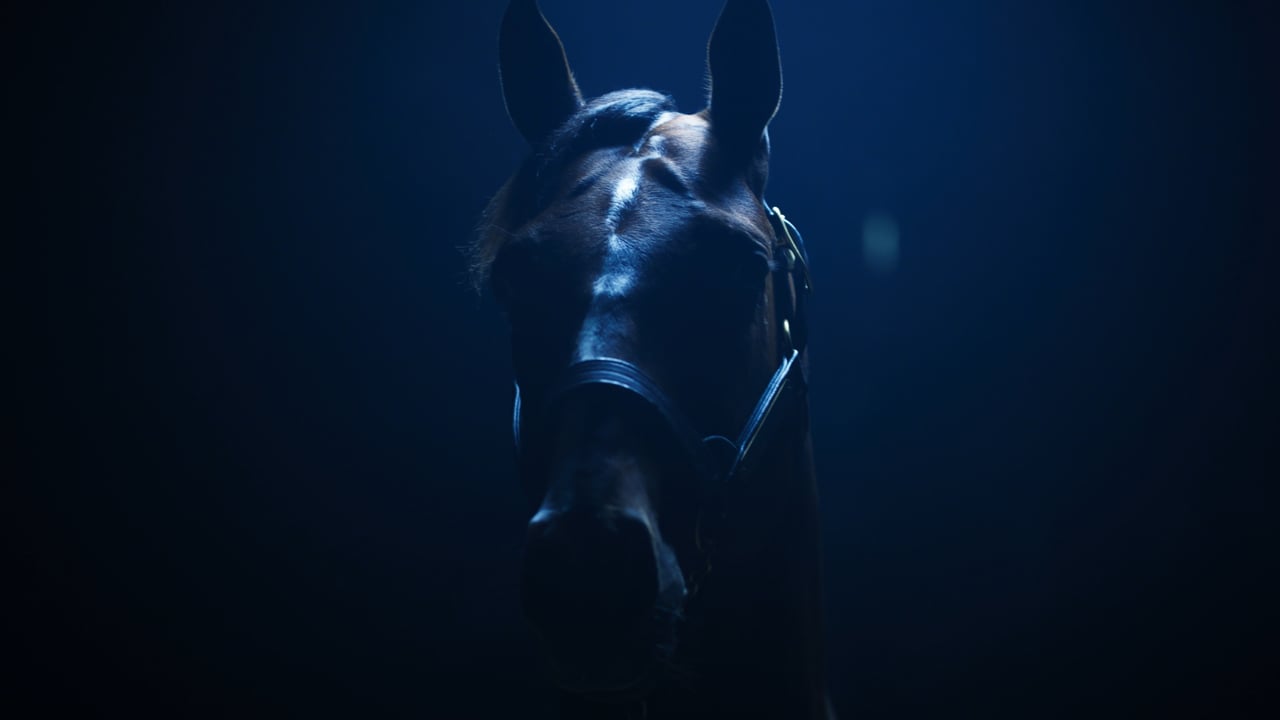 Dornoch | :60 Commercial