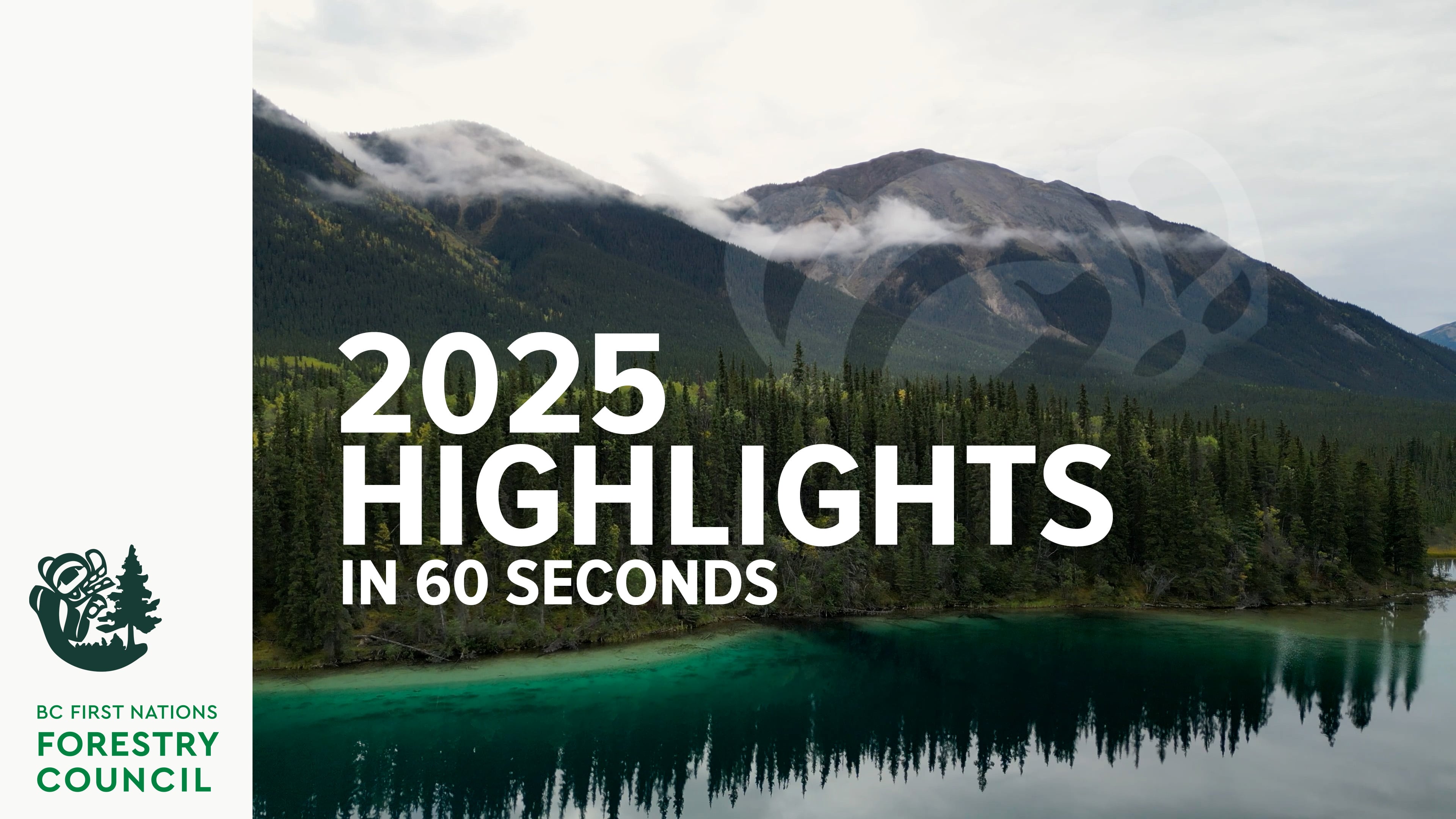 2025 In 60 Seconds