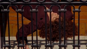 Related Embedded Video Item Thumbnail