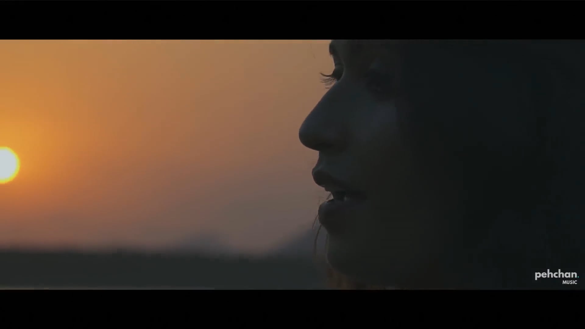 Music Video || 4 Million Plus Views  || Luka Chuppi   Pranav Chandran & Delsy Ninan (Cover) ||