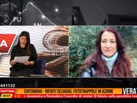 Prima Mattina News - Civitanova, rifiuti Selvaggi: fototrappole in azione