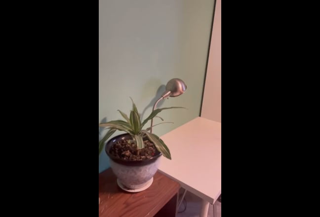 Double room to let in West Drayton / Uxbridge Main Photo