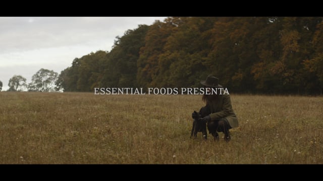 THE BEGINNING ES WEB