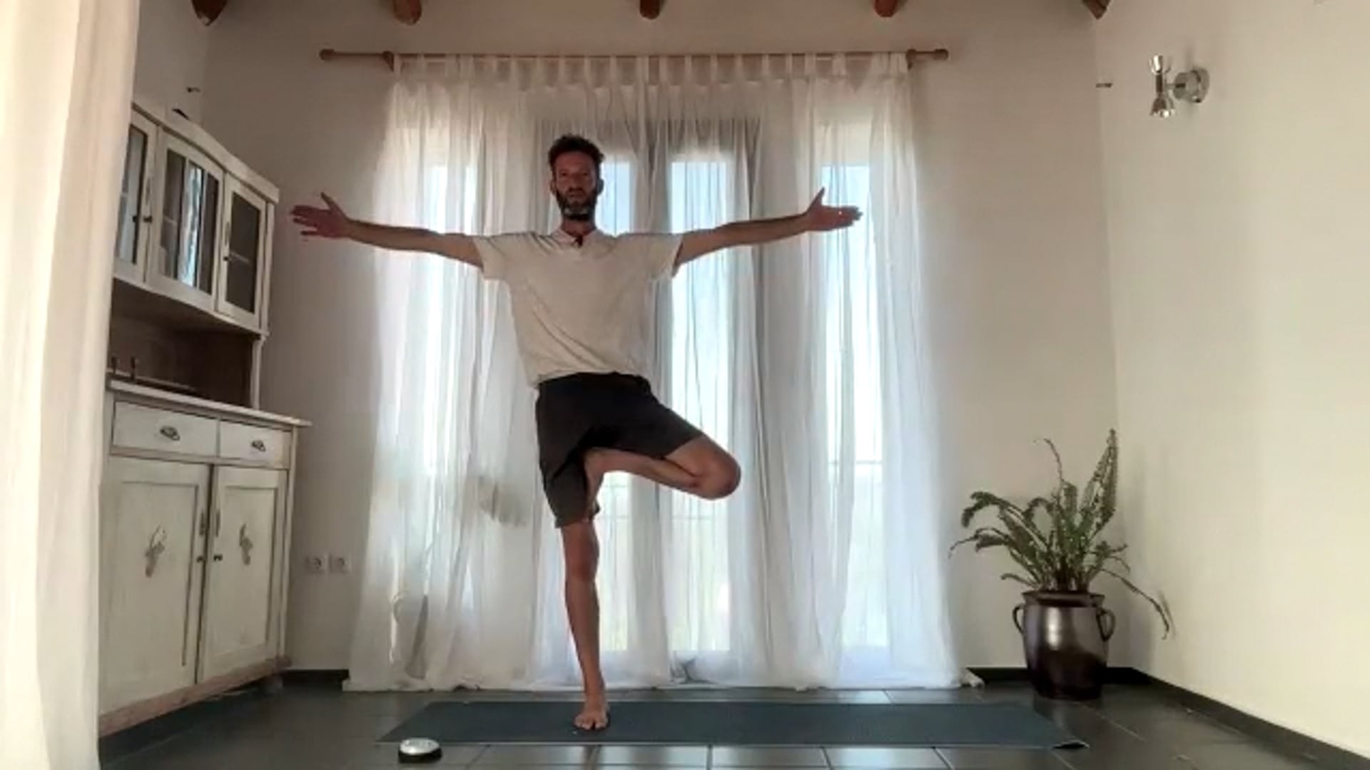 דימוי העץ באימון