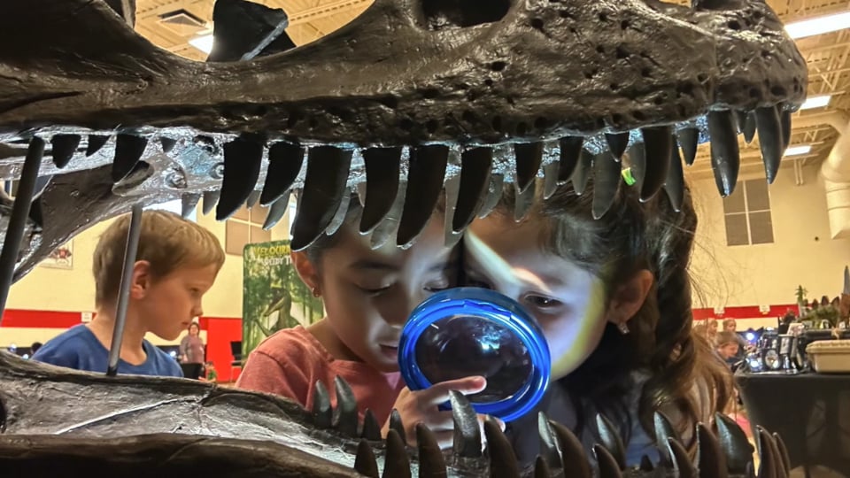  Roar: The Story of Traveling Dinos  