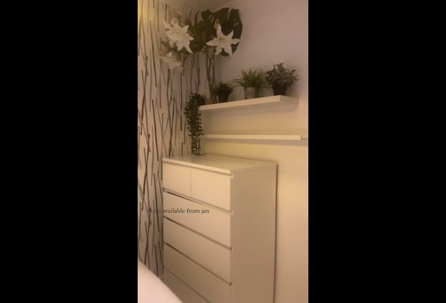 Double Room in Very Cosy Friendly House Main Photo