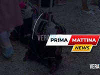 Prima Mattina News - Puntata dell’11 dicembre 2025
