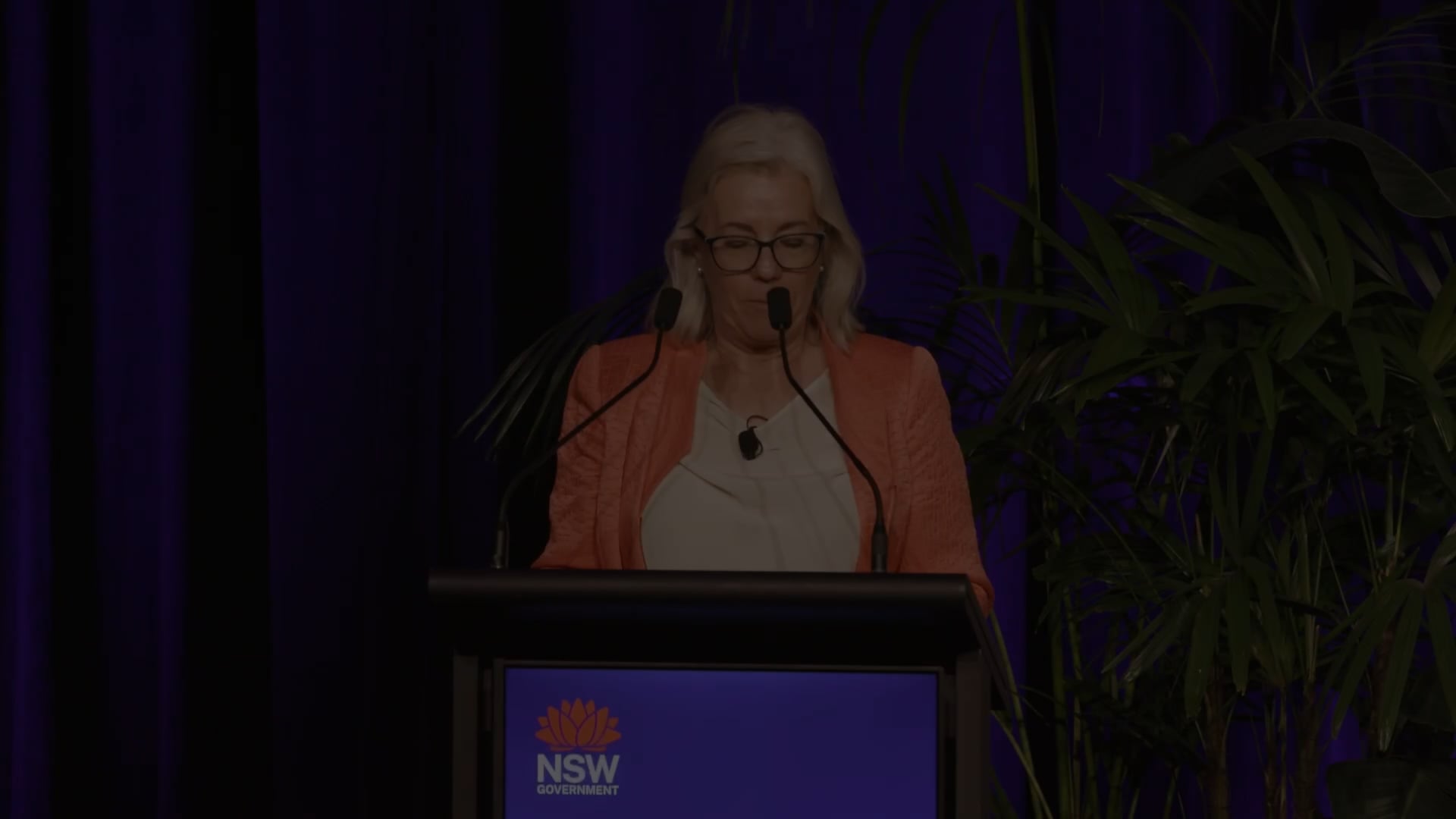 Digital NSW 2025: International keynote: Striking the balance between risk and tech innovation by David Shanks