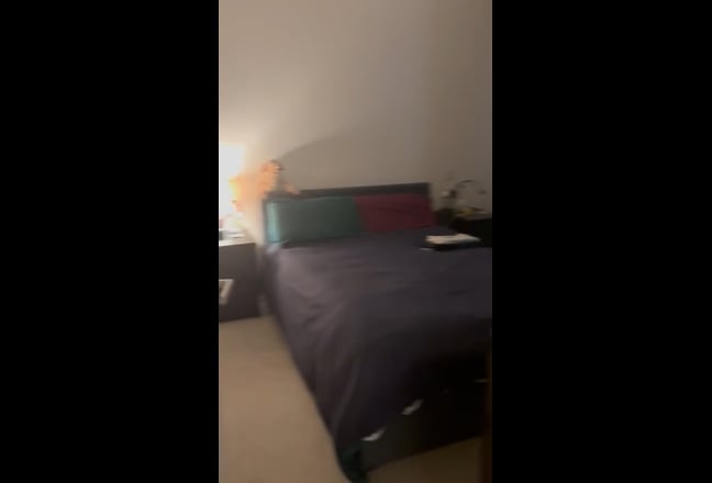 Christmas in London  Main Photo