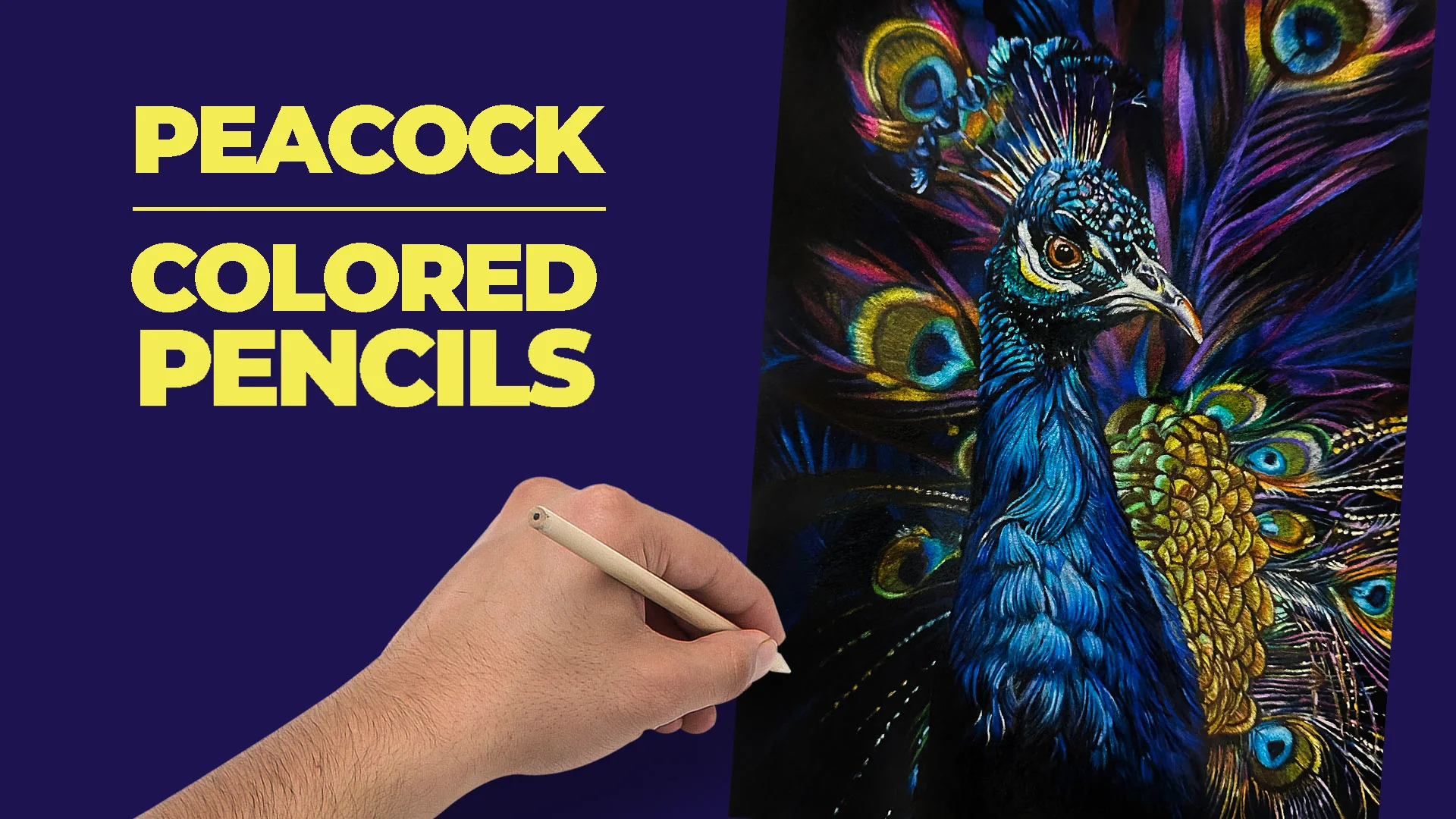 Peacock with Colored Pencils - Promo, image size:1920x1080