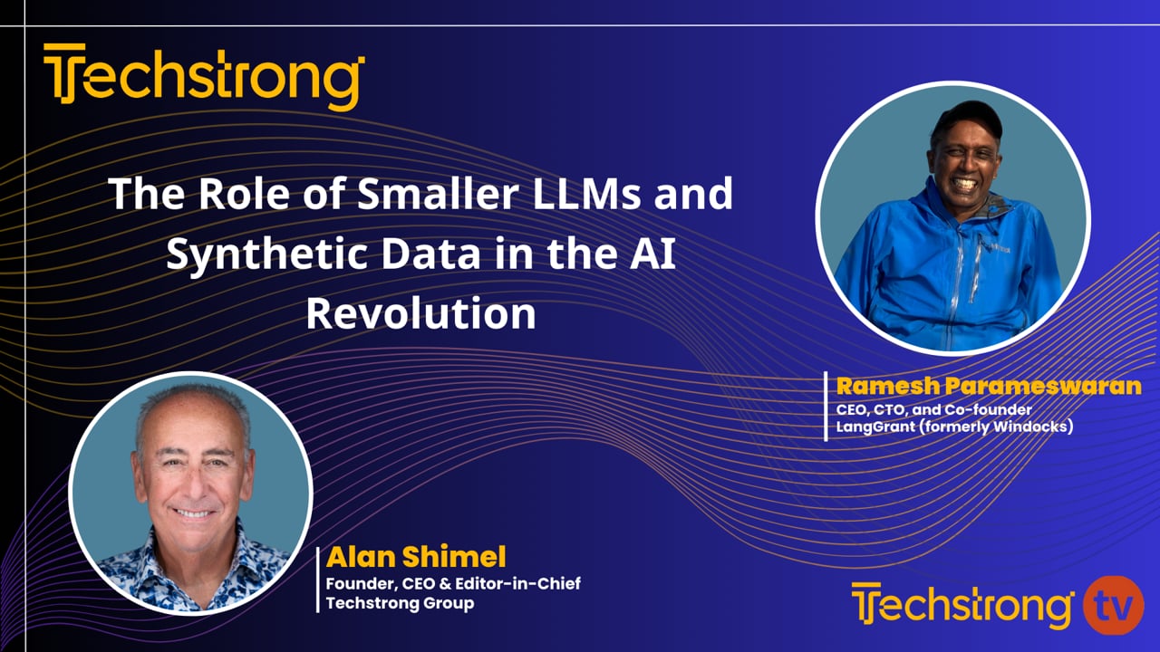 The Role of Smaller LLMs and Synthetic Data in the AI Revolution ...