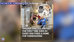 Virginia Dog Shelter Sells Out