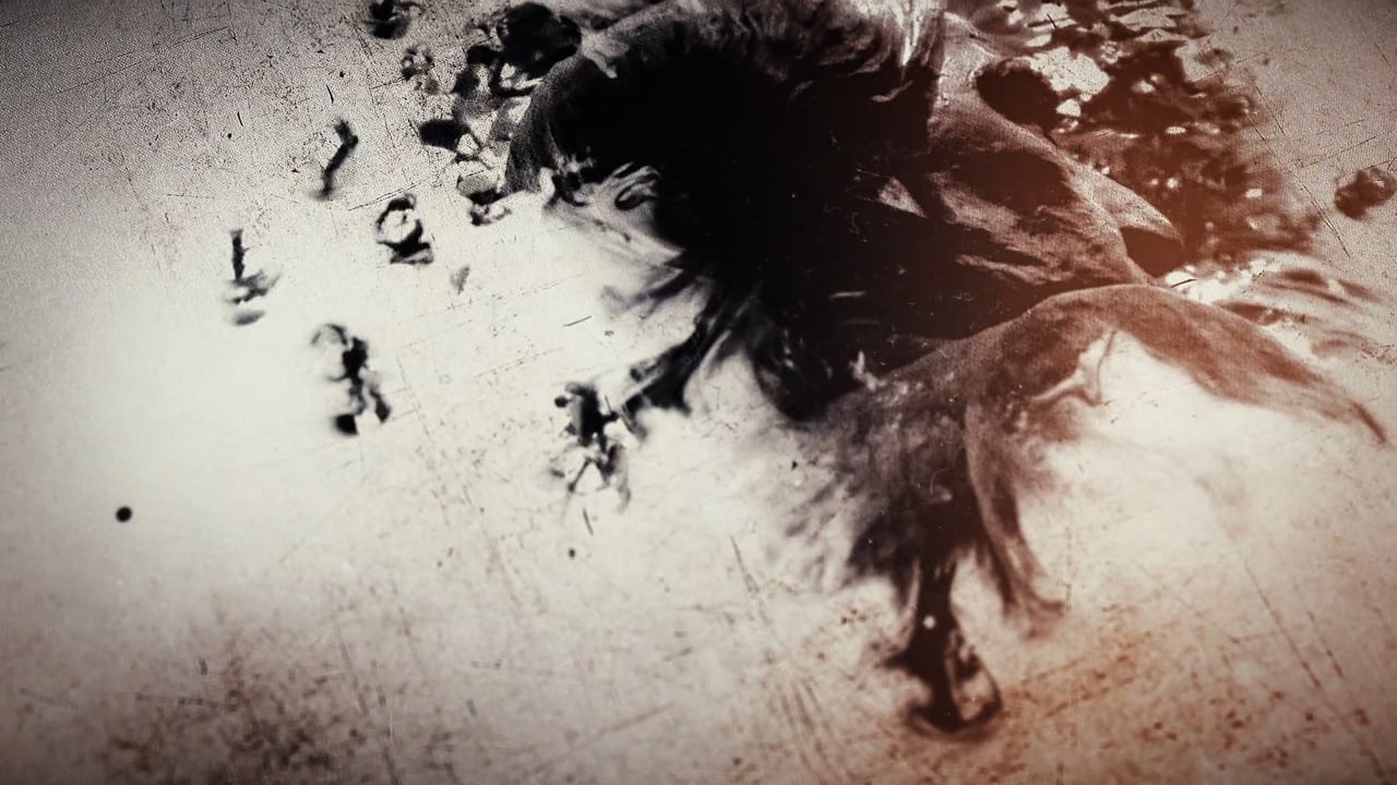 Especial Río Blanco P2