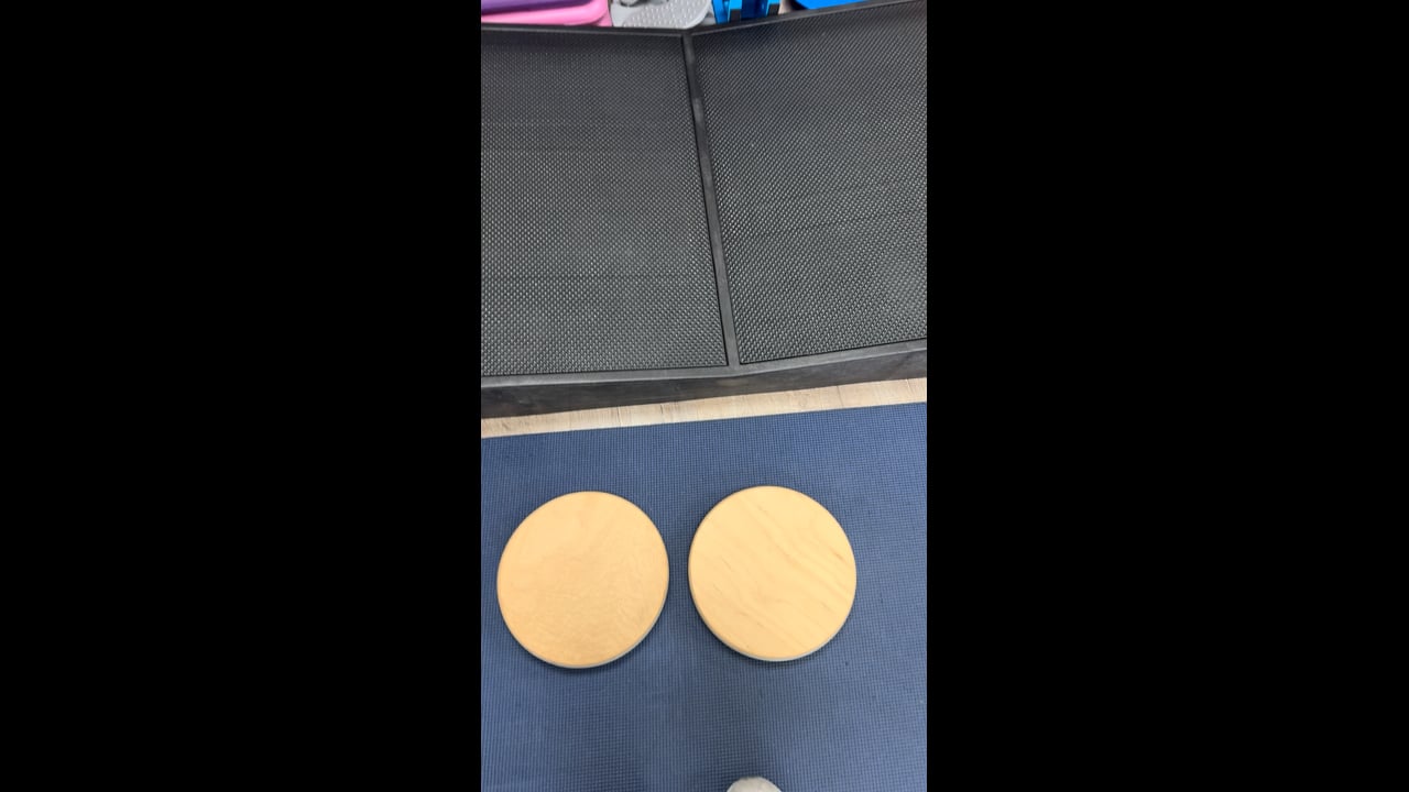 Swivel disc for foot and ankle function