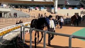 動画サムネイル