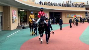 動画サムネイル