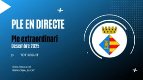 Ple Extraordinari Desembre 2025 - Funcionament de l''ETAP