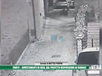 Chieti - Avvistamenti di orsi, dal Prefetto disposizioni ai sindaci