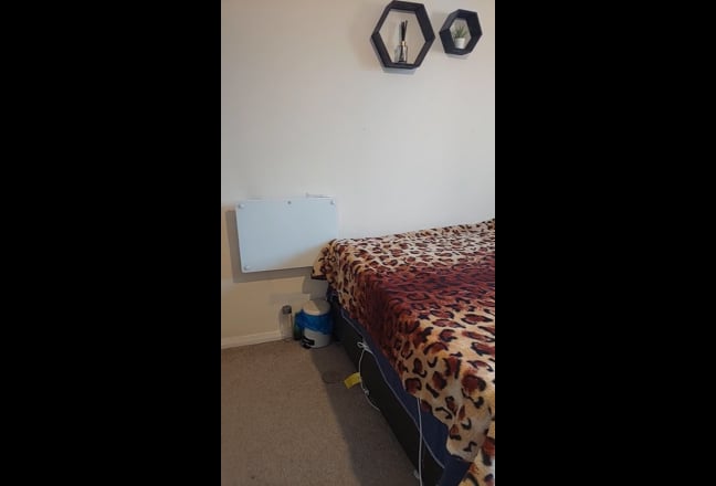 Beautiful & tidy double share room Main Photo