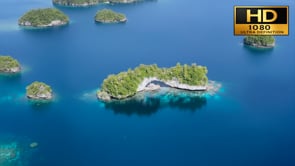 Underwater Film - Dive Palau HD