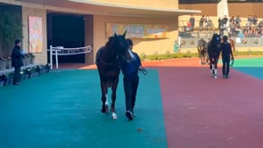 動画サムネイル