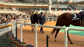 動画サムネイル