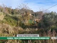 Colonnella - "Moglie e figlio malati ma non c’è una casa per arrivare a casa"