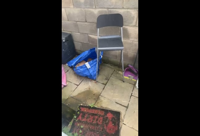 Room for rent in 3 bed ground floor flat.  Main Photo