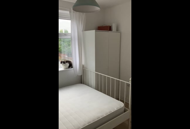 3 Double rooms available in a 4 bed house.  Main Photo