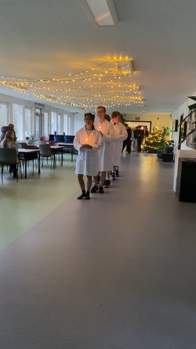 Luciaoptog 2025 testimonial