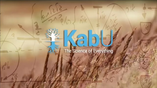 Dec 14, 2025 – Lesson #23 – Israel, the Light and the Creator, and the Workshop as a Tool for Connection