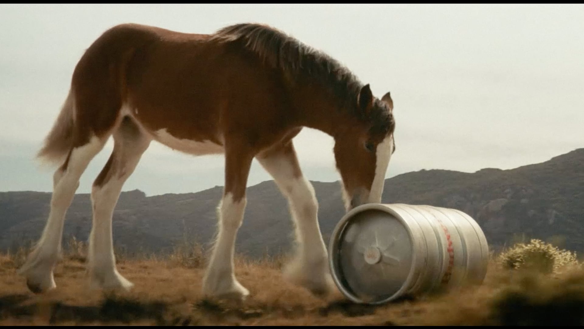 FCBNY_Work Sizzle_2025